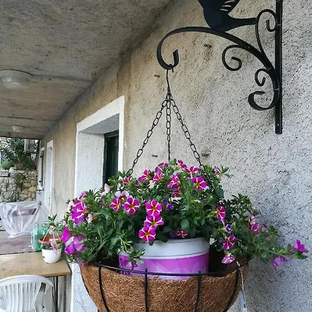 Bruna & Bartula Guest house Mimice